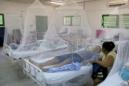 Según la Organización Mundial de la Salud (OMS), el dengue causa cerca de 400 millones de infecciones cada año y en los últimos 50 años se ha expandido por 128 países donde viven unos 4.000 millones de personas. EFE/Archivo