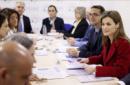 La reina Letizia, durante la reunión de trabajo que mantuvo con la Junta Directiva de la Federación Española de Enfermedades Raras (FEDER) hoy en Madrid. EFE