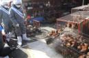 Trabajadores sanitarios desinfectan un mercado de animales vivos en la ciudad de Seongnam, al sur de Seúl, Corea del Sur. EFE/Archivo