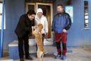 Fotografía facilitada por el Ayuntamiento de Alcorcón, del alcalde de la localidad, David Pérez (i), que ha entregado hoy un perro en adopción a Teresa Romero, vecina del municipio que logró superar la enfermedad del ébola, y a su marido, Javier Limón (d). EFE